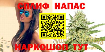 гашик Бузулук