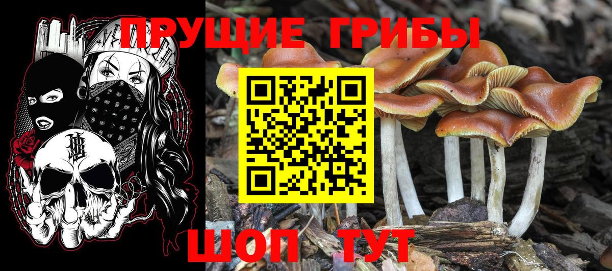 Галлюциногенные грибы мухоморы Лесосибирск