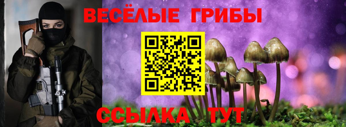 Лесосибирск  Галлюциногенные грибы ЛСД  Псилоцибиновые грибы Cubensis  Вход с VPN 